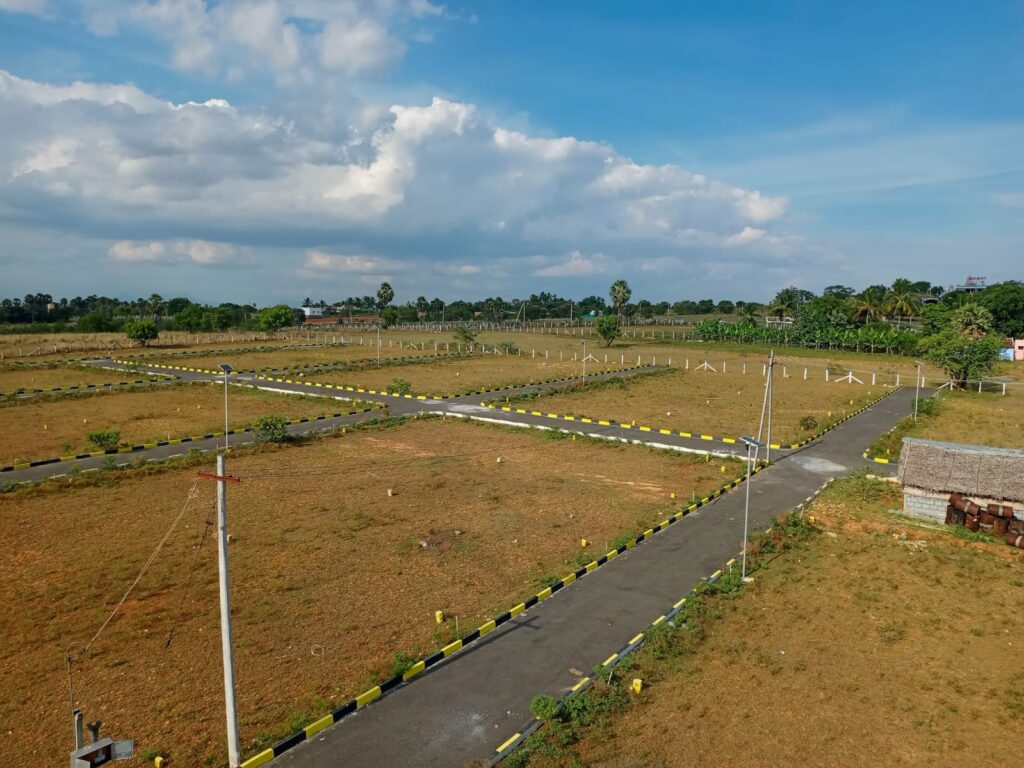 WhatsApp Image 2025-11-04 at 6.10.29 PM (2)